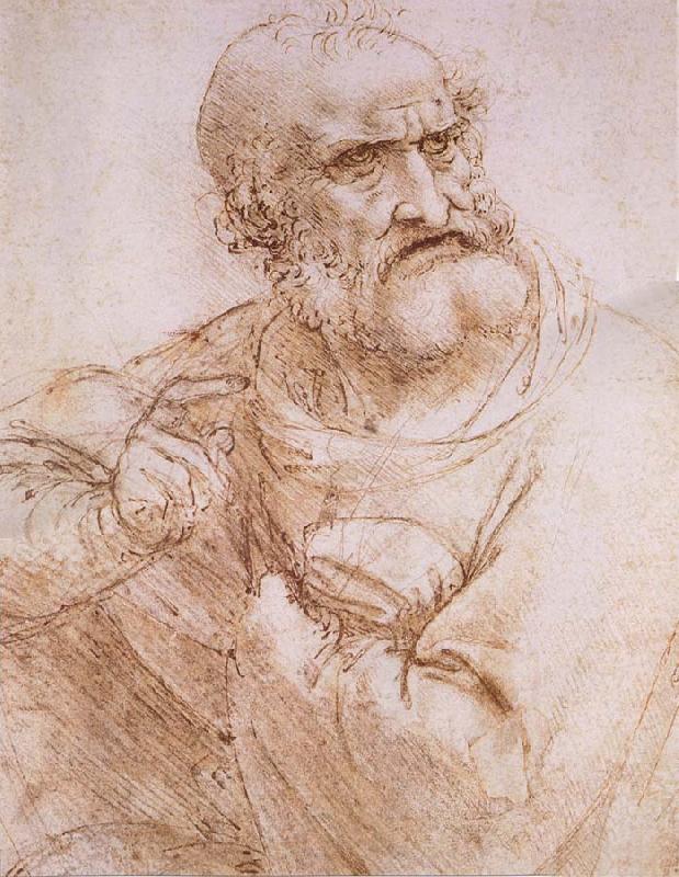LEONARDO da Vinci Study of an apostle